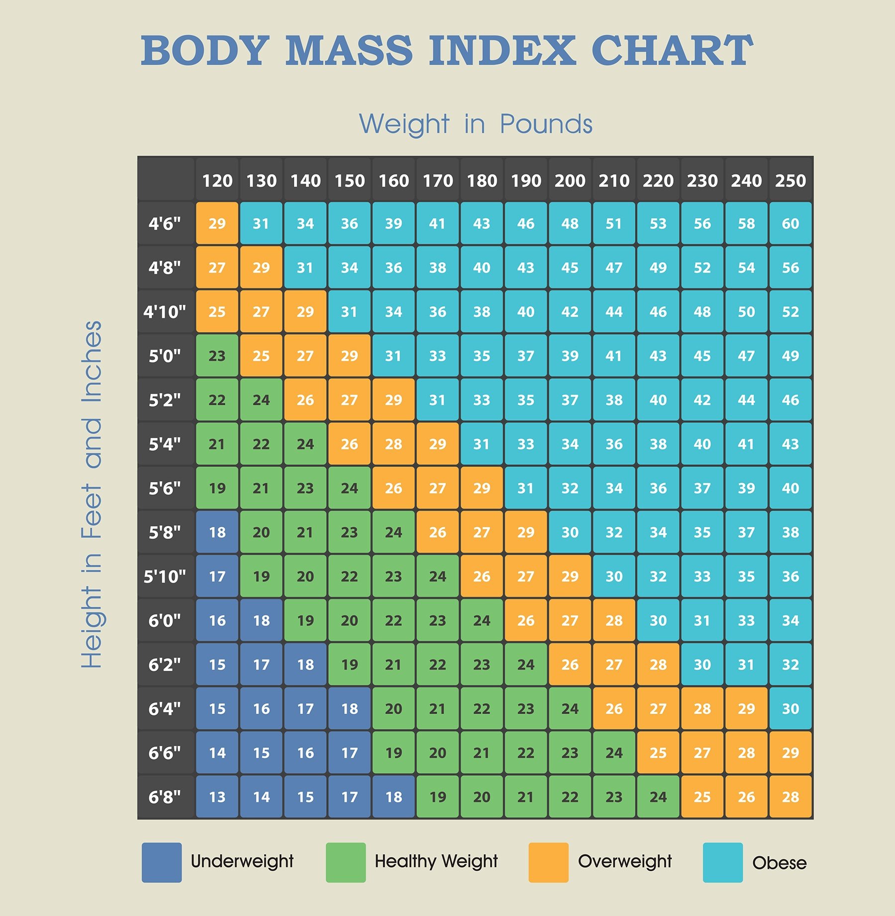 Being Underweight Weighs Heavily on Your Health